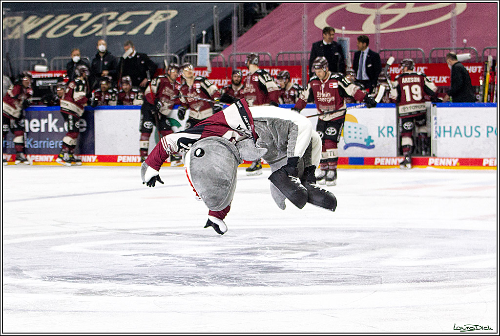 PENNY DEL;  Koelner Haie - Nuernberger Ice Tigers; Koeln, 25.03.2021